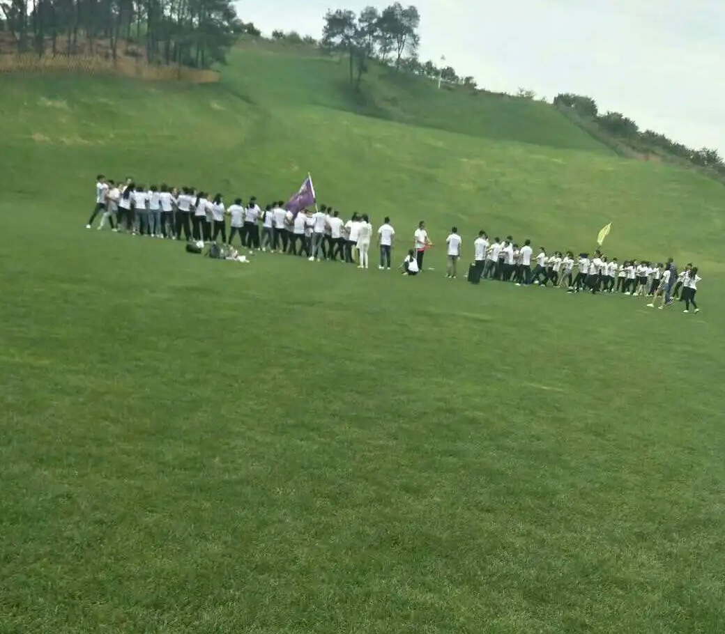 公司组织全体员工春游团建活动
